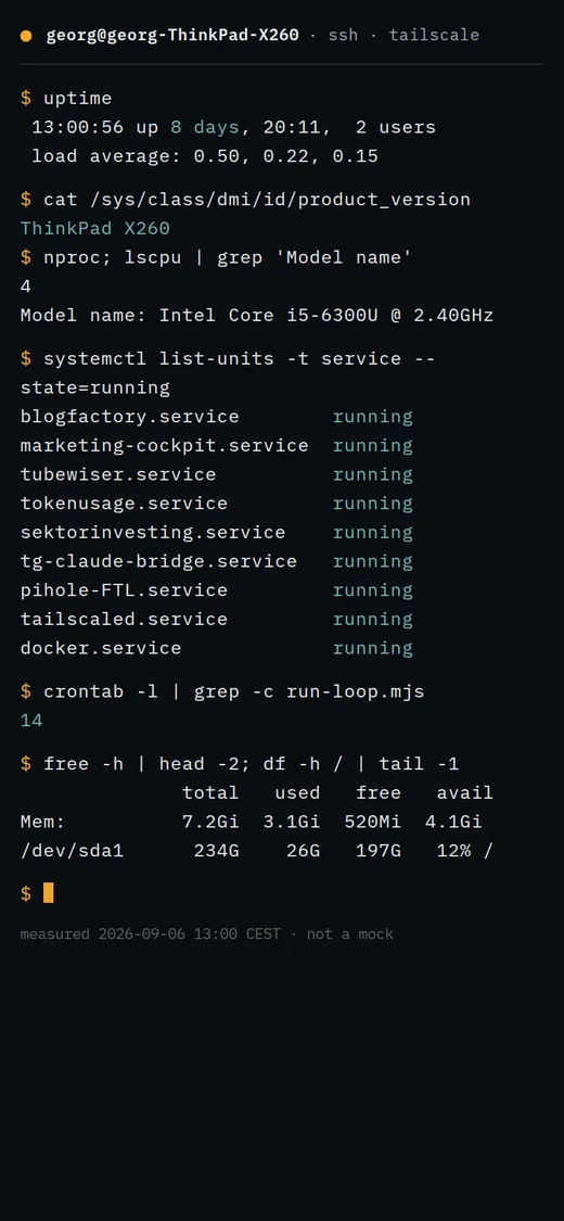 An ssh session on the home server: uptime, running services, memory, disk