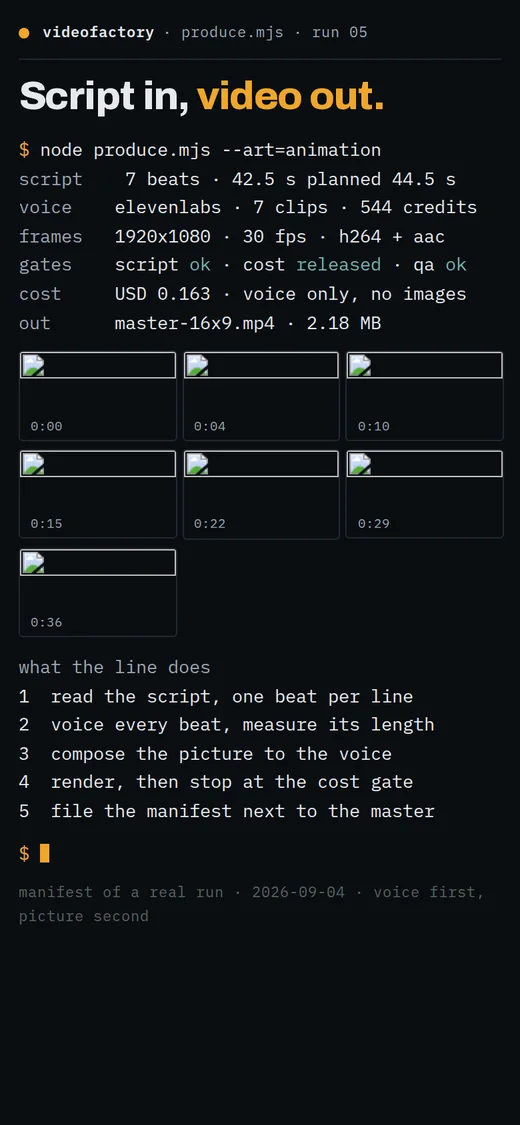 The video line: the manifest of one real render run and its seven frames